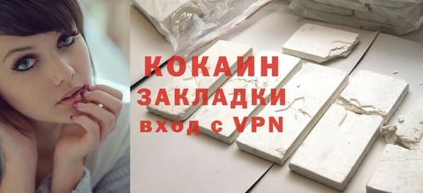 Альфа ПВП Гусев
